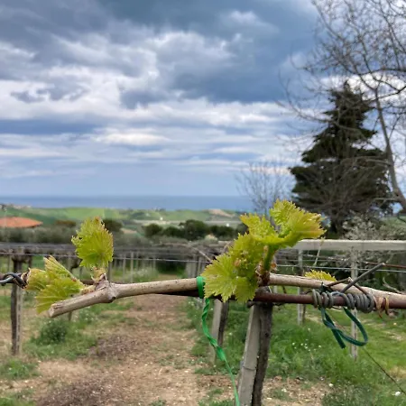 Podere S. Anna