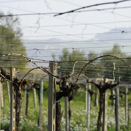 Podere S. Anna Landhuis *