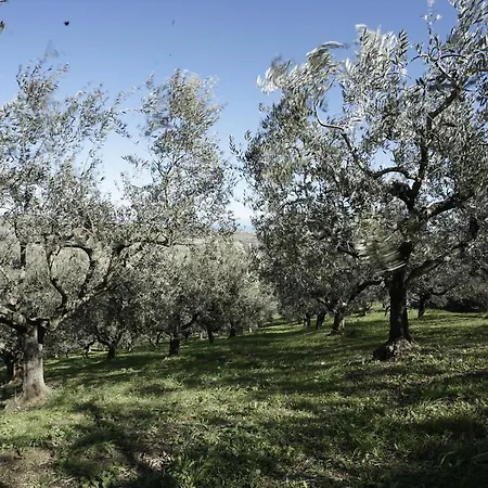 Podere S. Anna