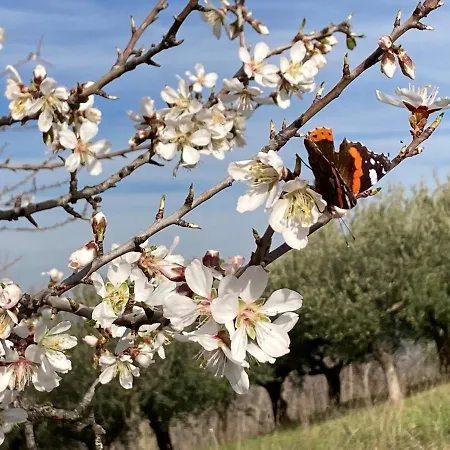 Podere S. Anna Casa di campagna *