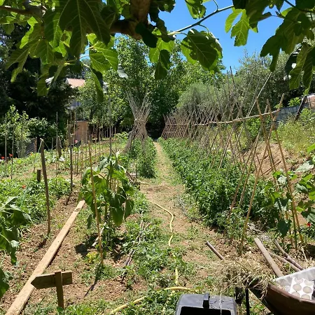 Podere S. Anna